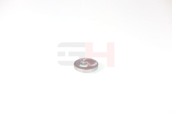 caster shim, sillatala, GH GH-391582