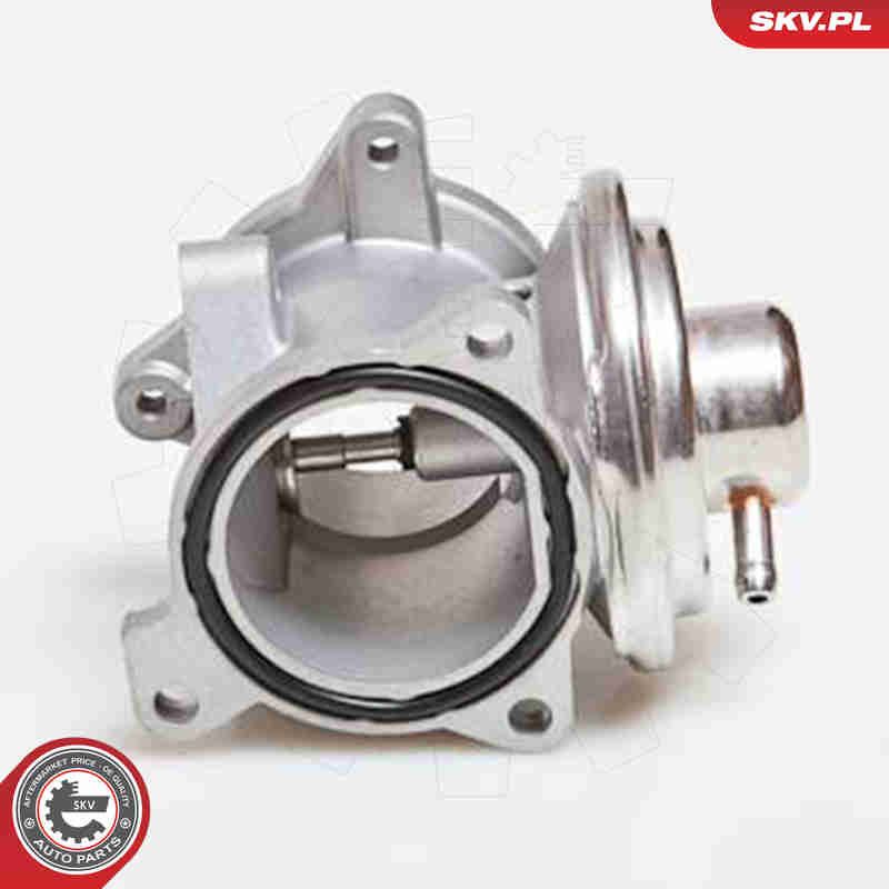 ESEN SKV 14SKV034 EGR Valve