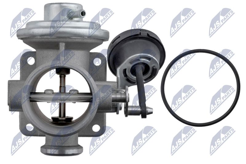EGR-VW-062_4-WM.JPG