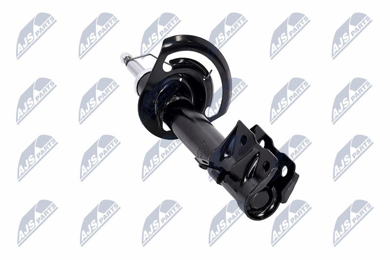 Amort, NTY A-CH-056