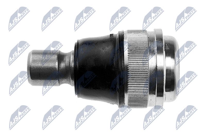 Kande-, juhtliigend, NTY ZSD-MZ-023