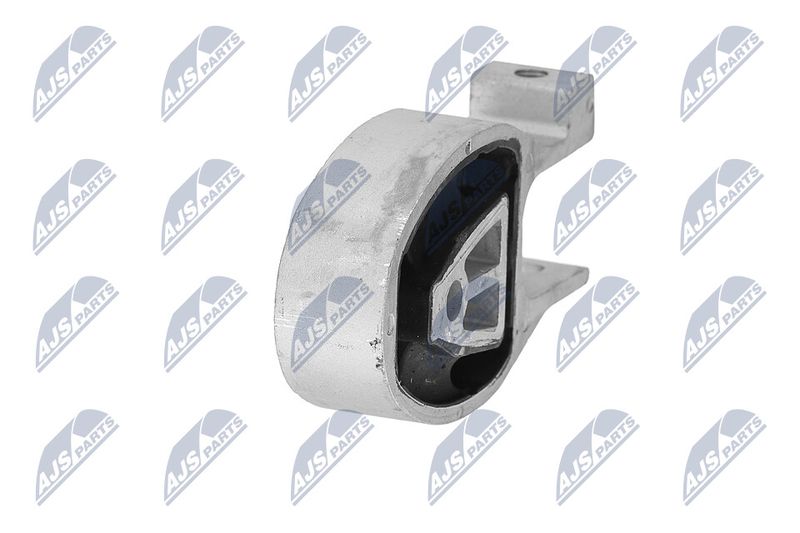 Paigutus, Mootor, NTY ZPS-FR-010