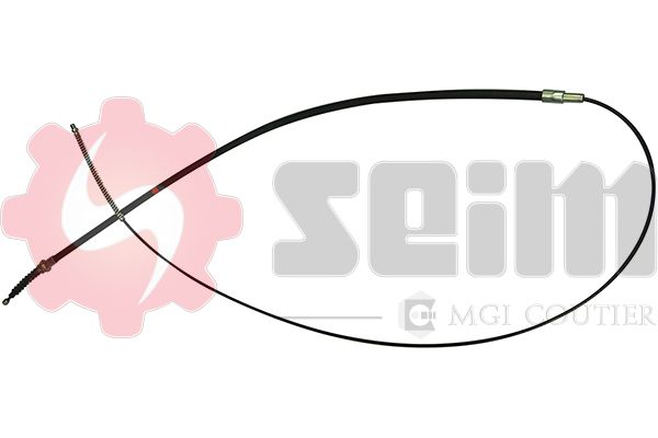555057.JPG