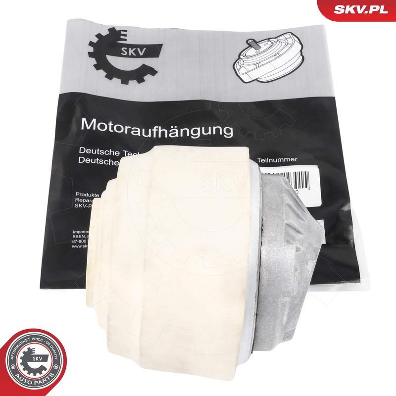 Paigutus, Mootor, ESEN SKV...