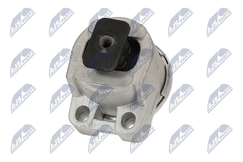 Paigutus, Mootor, NTY ZPS-FR-017