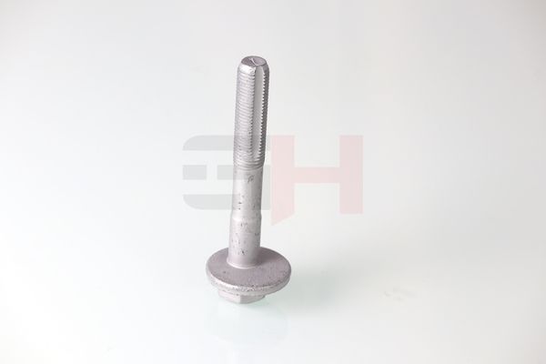 GH GH-399901 Camber Correction Screw