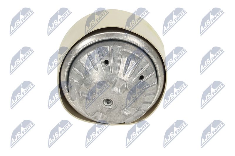 Paigutus, Mootor, NTY ZPS-ME-100