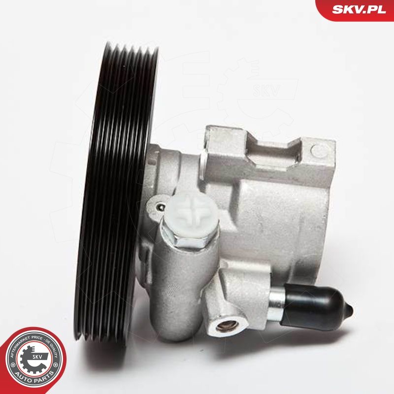 Hüdraulikapump, roolimine, ESEN SKV 10SKV069