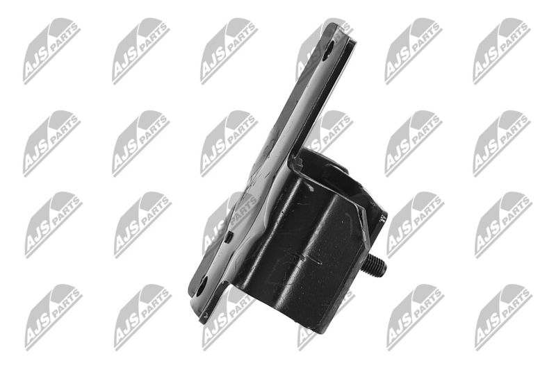 Paigutus, Mootor, NTY ZPS-NS-091