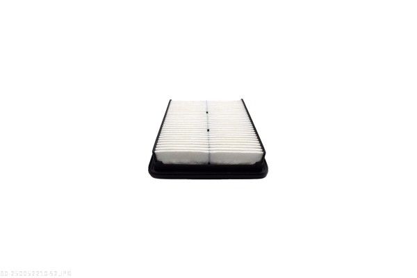 AUTOMEGA 250052210 Air Filter
