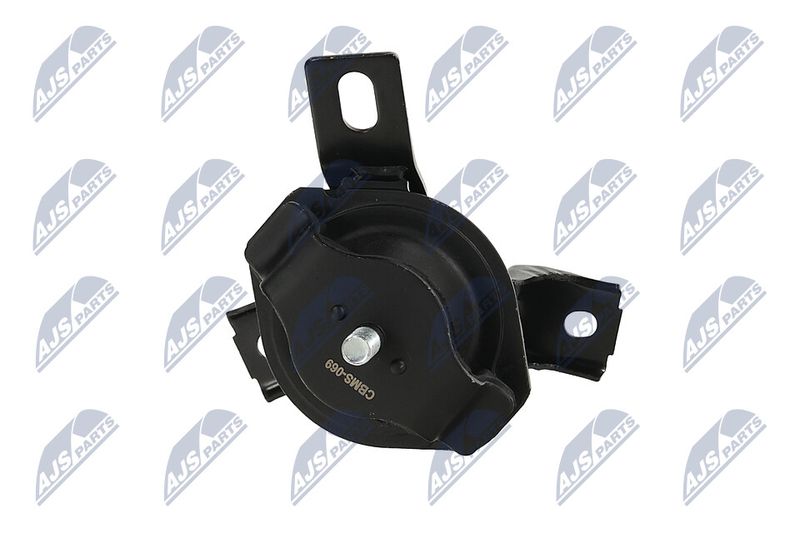 Paigutus, Mootor, NTY ZPS-MS-069