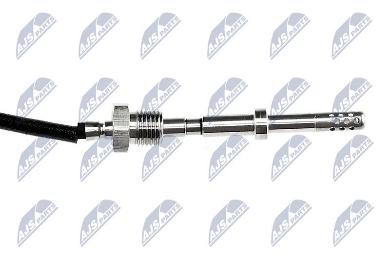 egt-vw-005_2-wm.JPG