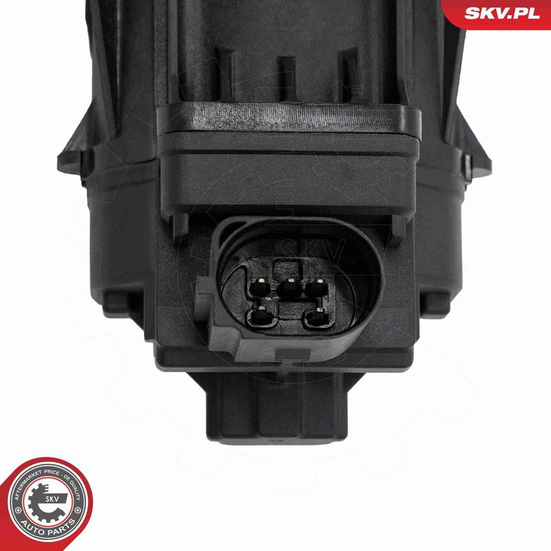 ESEN SKV 14SKV302 EGR Valve