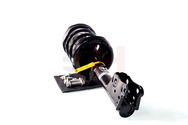 Vedruamort, GH GH-353364C01