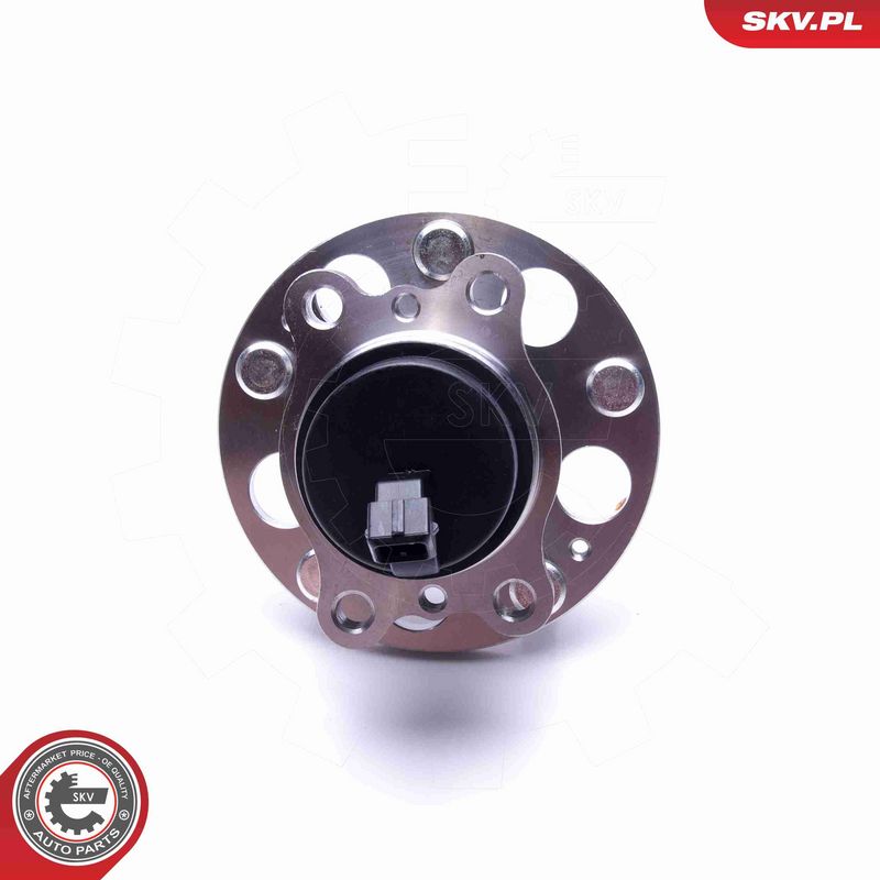 ESEN SKV 29SKV290 Wheel Bearing Kit