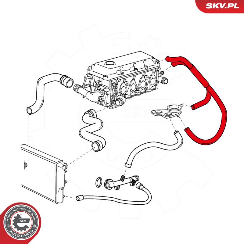 Voolik, Karterituulutus, ESEN SKV 31SKV048