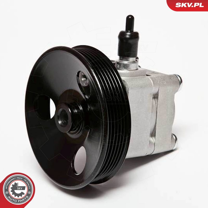 ESEN SKV 10SKV010 Hydraulic Pump, steering