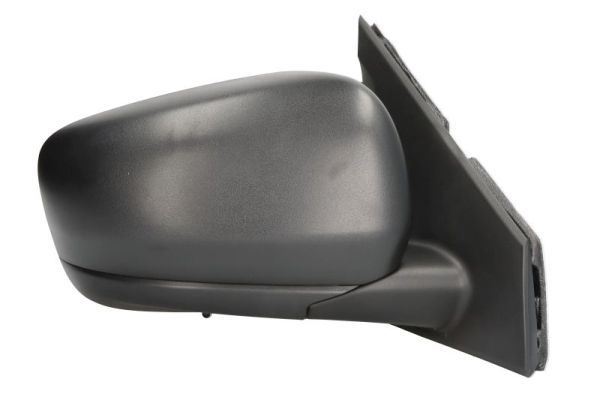 BLIC 5402-09-2434315P Exterior Mirror