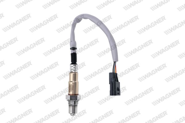 lbs00359_5309175.JPG