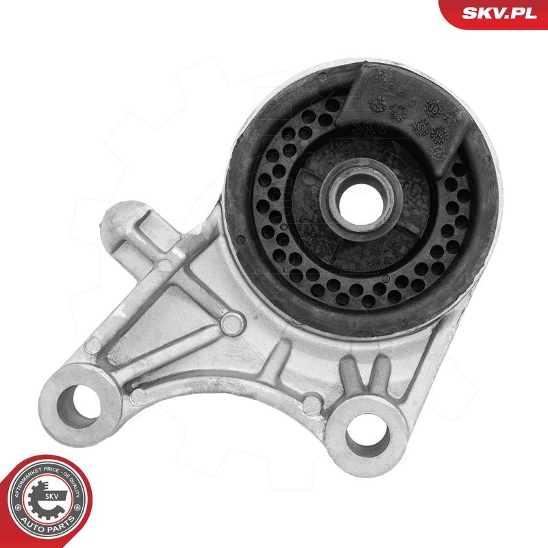 Paigutus, Mootor, ESEN SKV 75SKV199