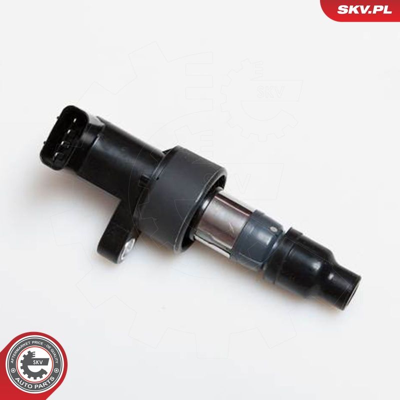 Süütepool, ESEN SKV 03SKV171