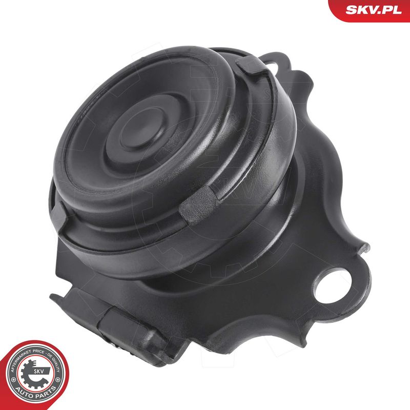 Paigutus, Mootor, ESEN SKV 75SKV267