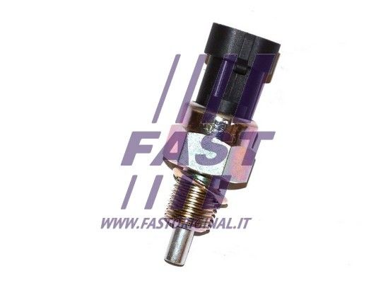 FT81082_1_1.JPG