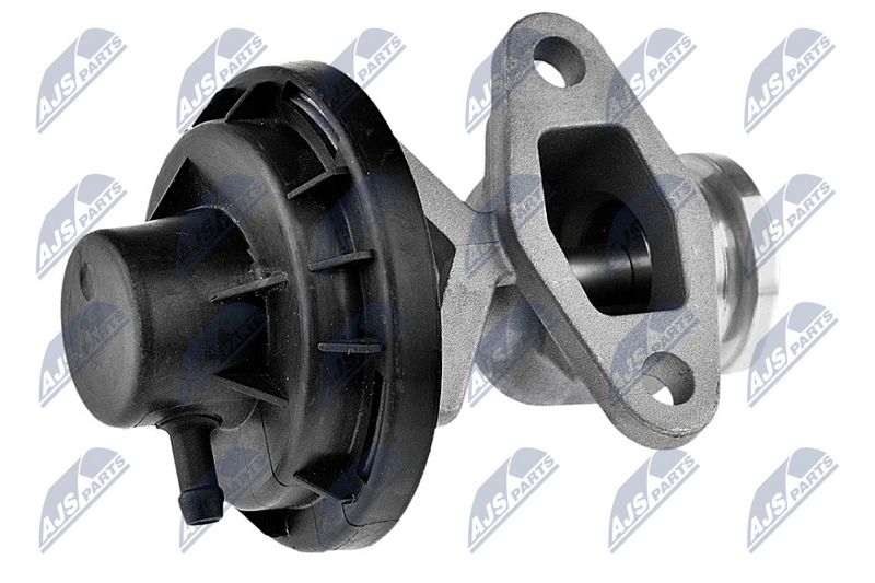 egr-vw-014_1-wm.JPG