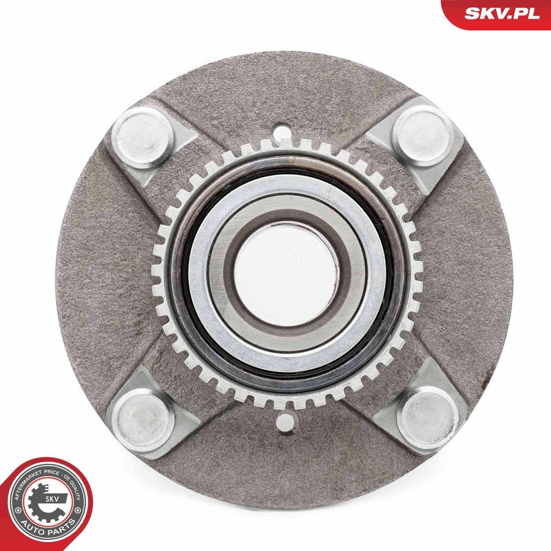 ESEN SKV 29SKV646 Wheel Bearing Kit