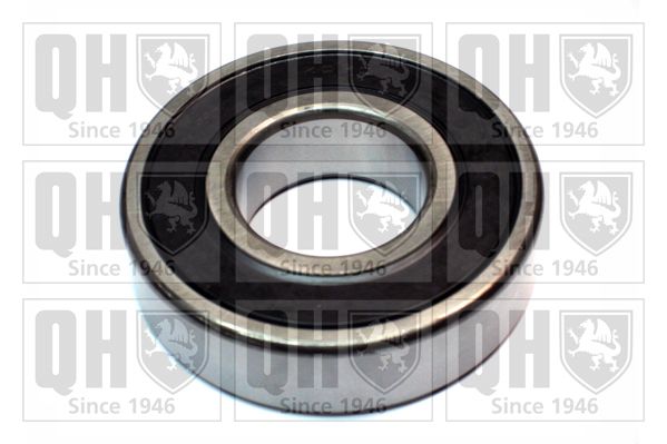 QH_XB9945.JPG