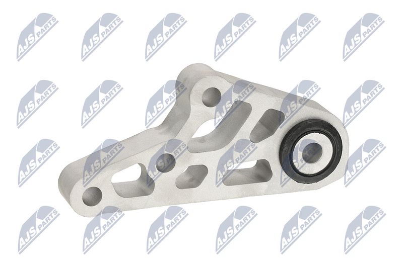 Paigutus, Mootor, NTY ZPS-CH-119