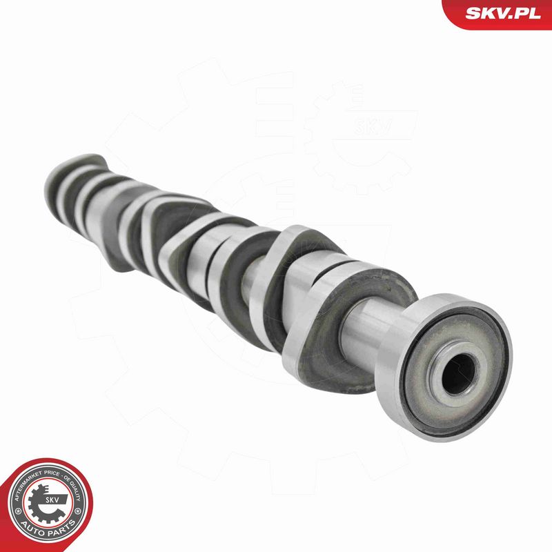 ESEN SKV 80SKV305 Camshaft Kit