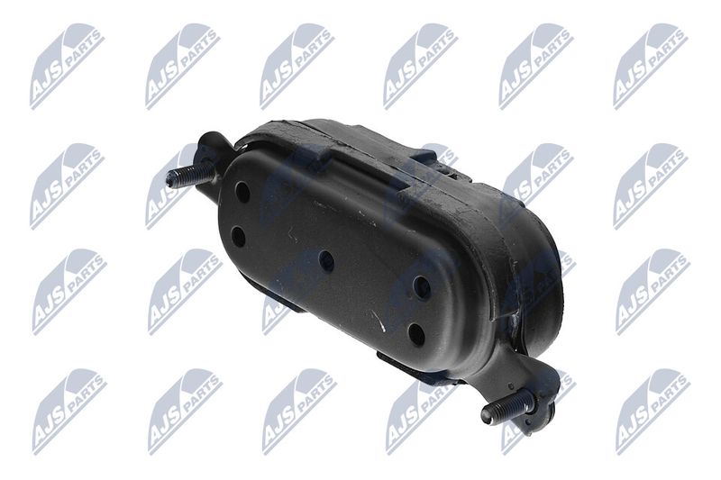 Paigutus, Mootor, NTY ZPS-CH-115