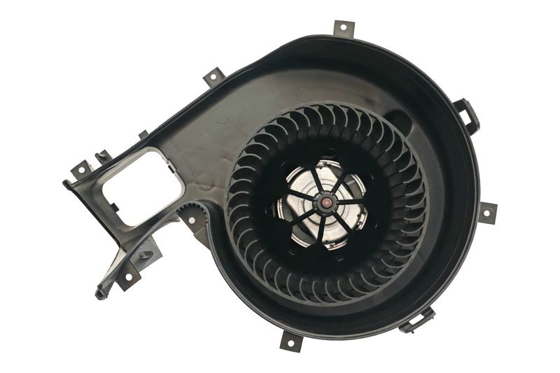 This part match OEM code: 12799558