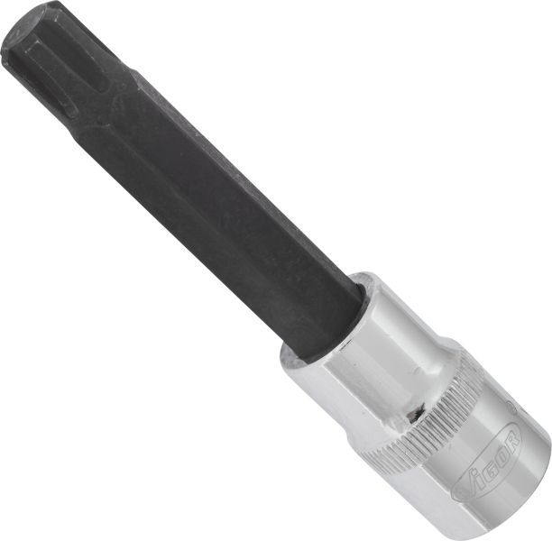 Padrun, VIGOR V2217