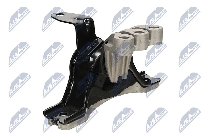Paigutus, Mootor, NTY ZPS-PL-043