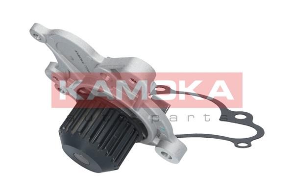 KAMOKA T0160 Water Pump, engine cooling