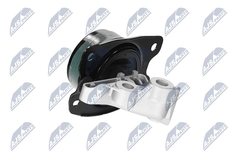 Paigutus, Mootor, NTY ZPS-CH-147