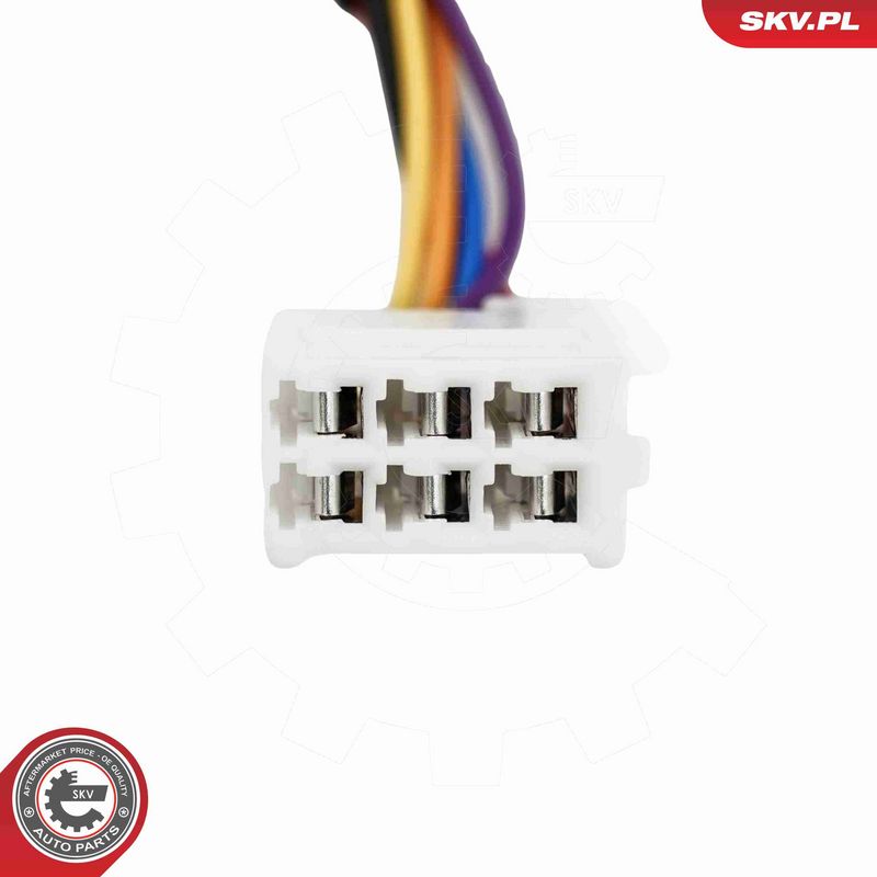 ESEN SKV 52SKV216 Electric Motor, tailgate