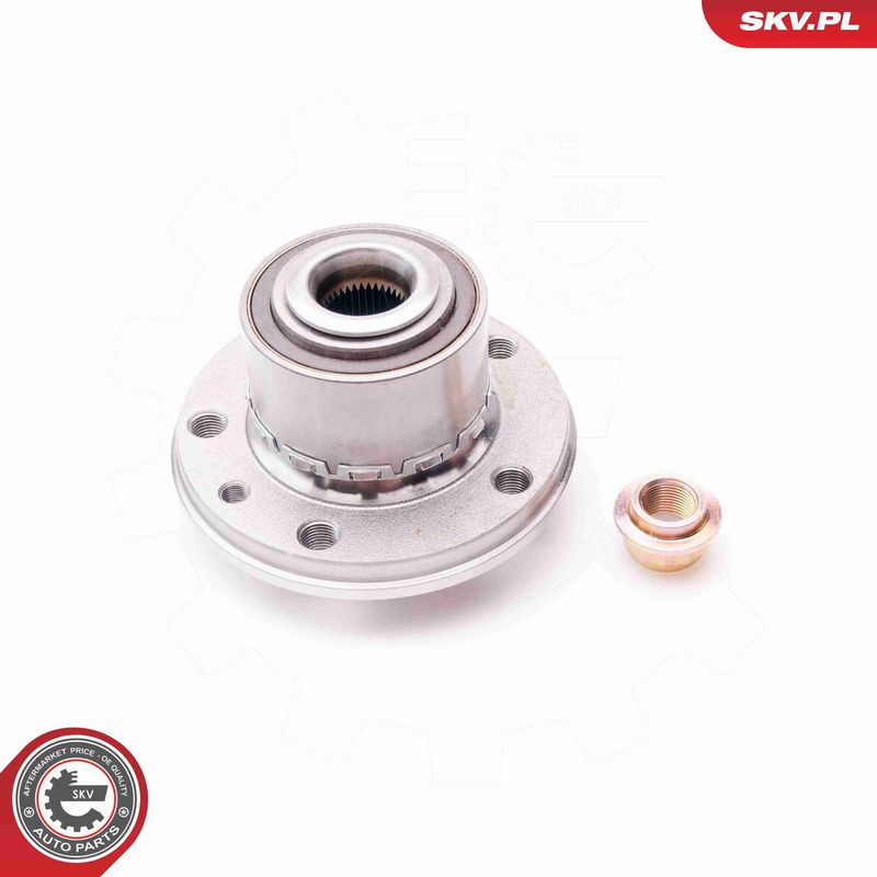 ESEN SKV 29SKV024 Wheel Bearing Kit