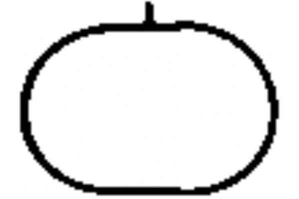 Manifold pakn. 271 innsug