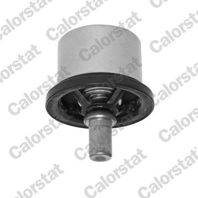 Termostat, chladivo THS19054.86