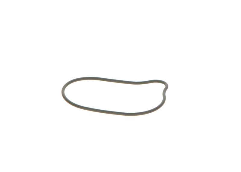 BOSCH 2440210028 Rubber Ring