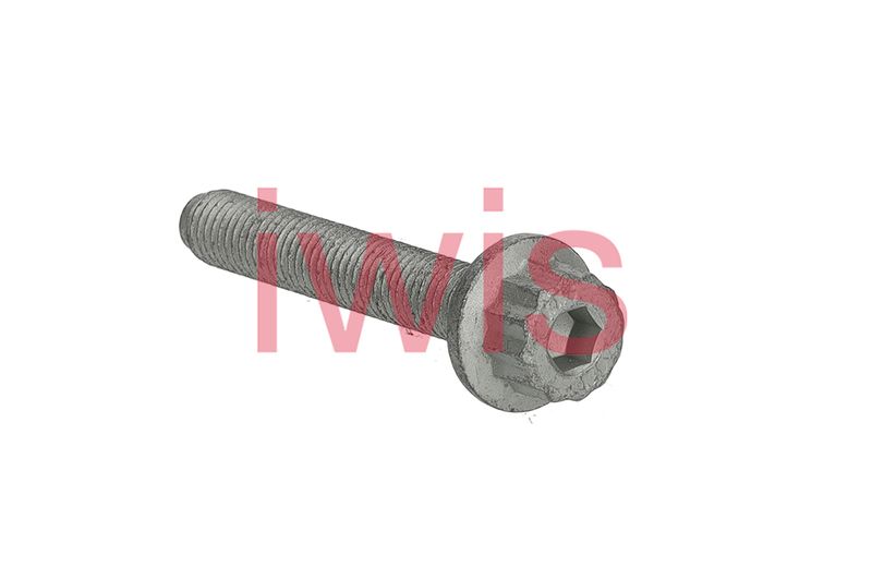 Surub 60305 AIC