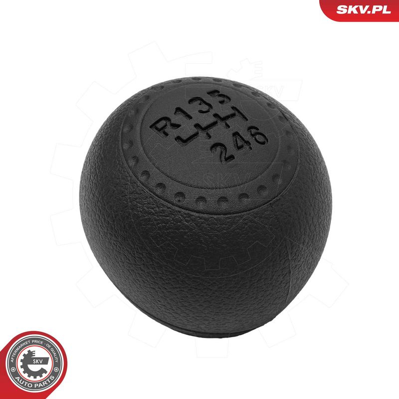 Käigukanginupp, ESEN SKV...