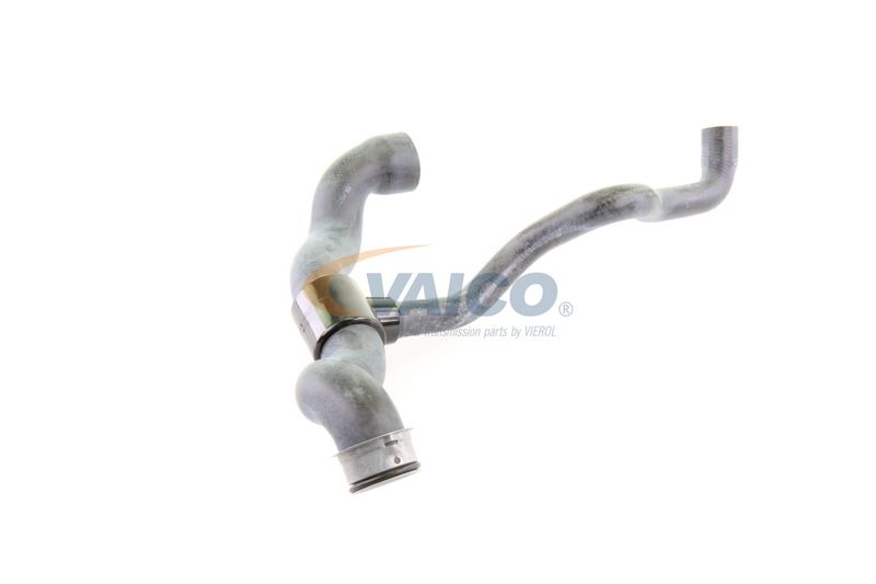 VAICO V30-1660 Radiator Hose