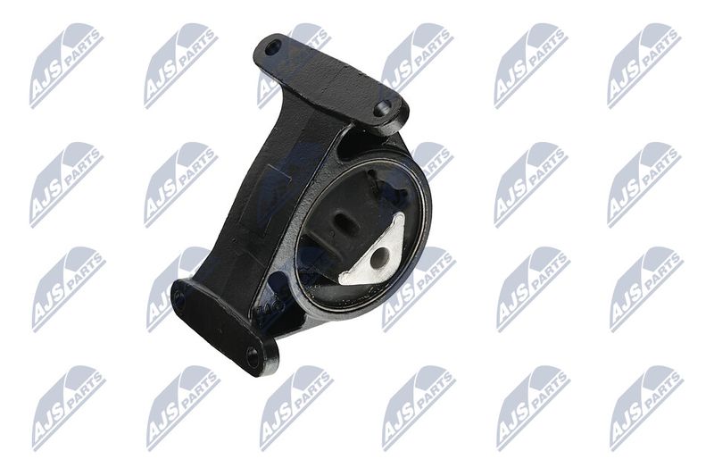 Paigutus, Mootor, NTY ZPS-CH-006