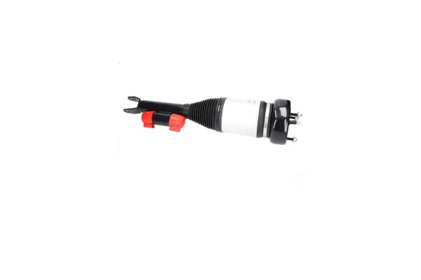 OEM код товара: 205320840089