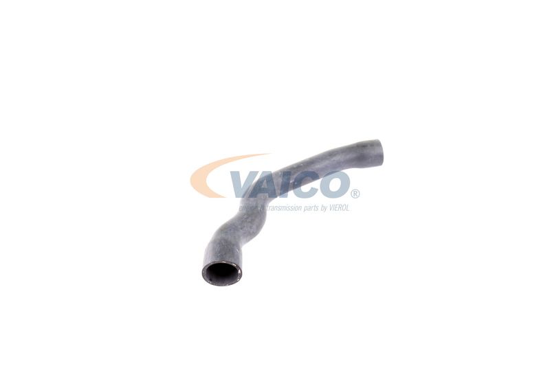 VAICO V30-2099 Radiator Hose