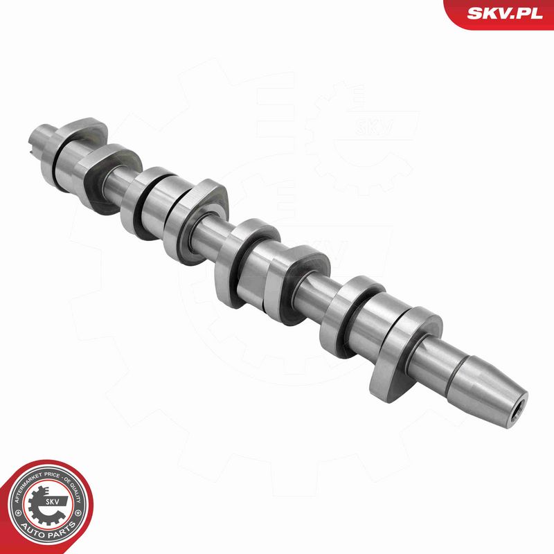 ESEN SKV 80SKV302 Camshaft Kit